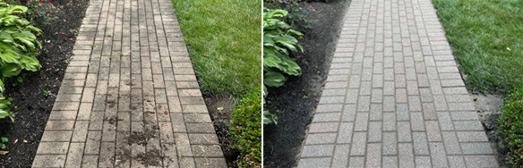 Patio Paver cleaning and refresh